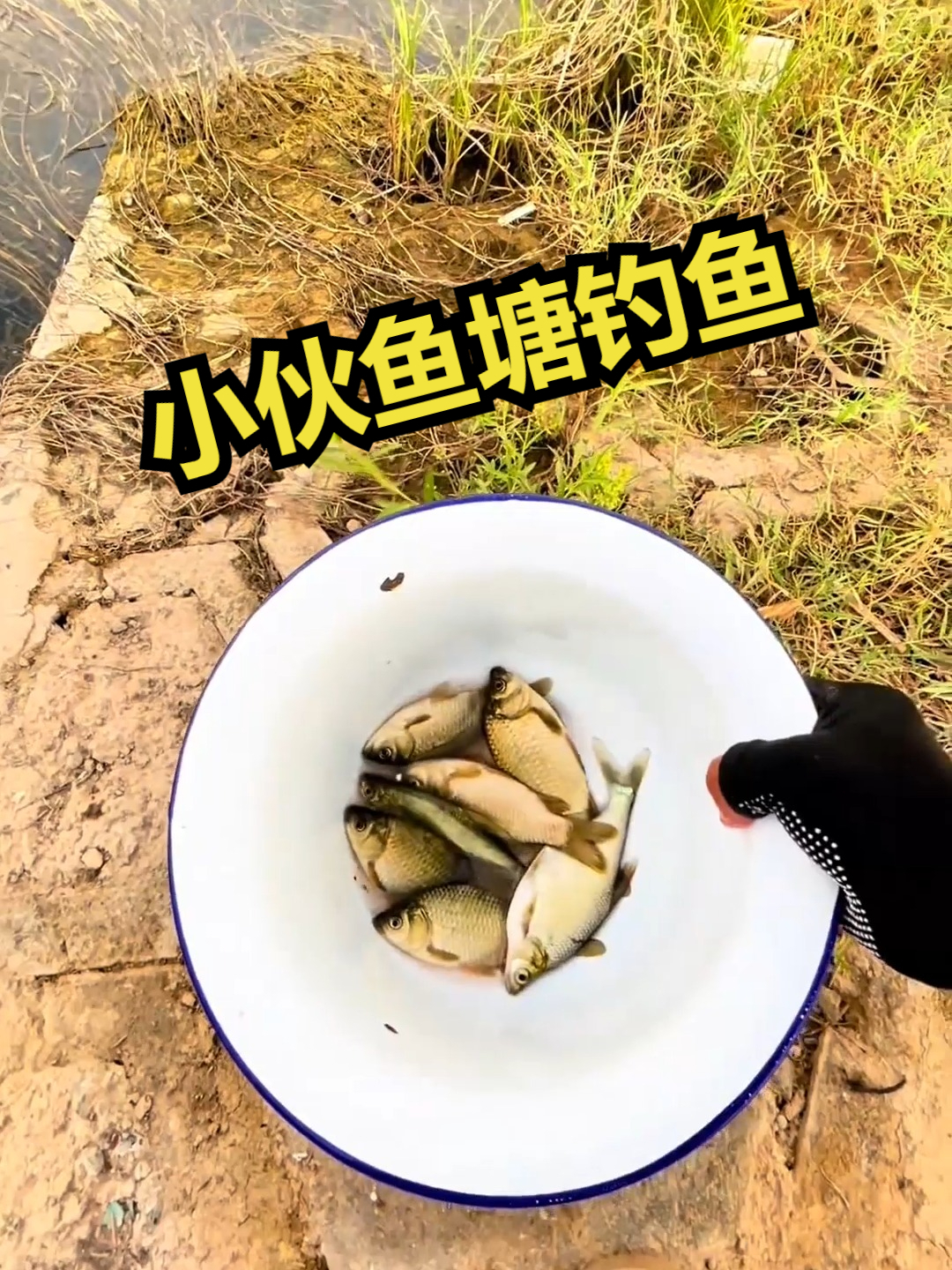 池塘中钓鱼技巧(池塘钓鱼技巧和调漂)