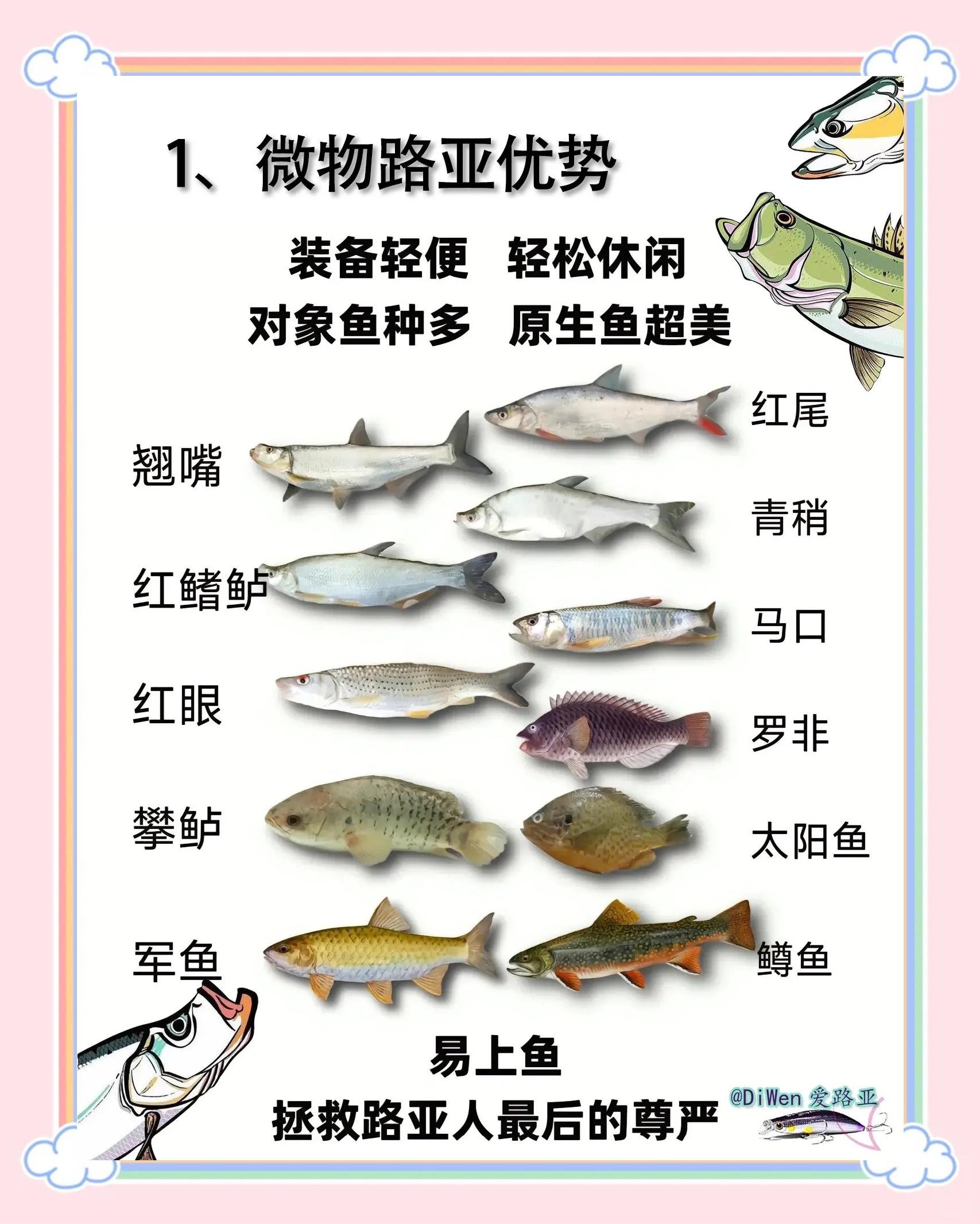 路亚青稍鱼技巧(路亚青稍用什么杆子)