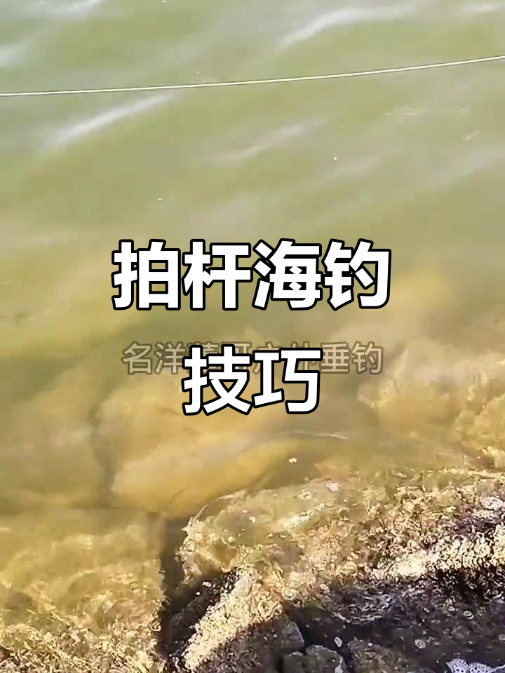 湛江海钓技巧(湛江出海钓鱼一日游)