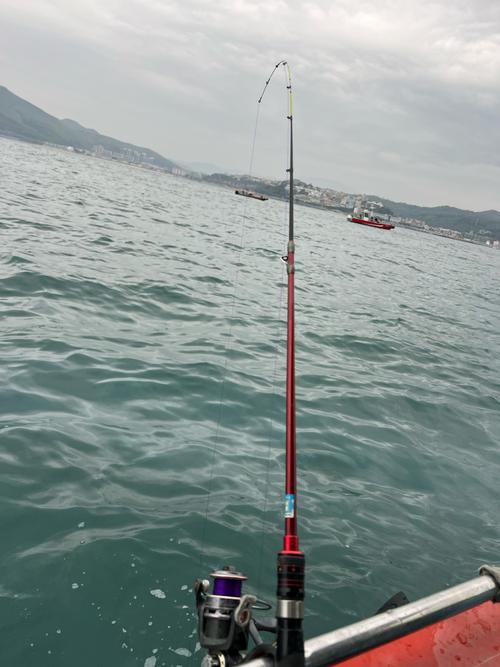 南山区海钓地点(南山海边钓鱼的地方在哪)
