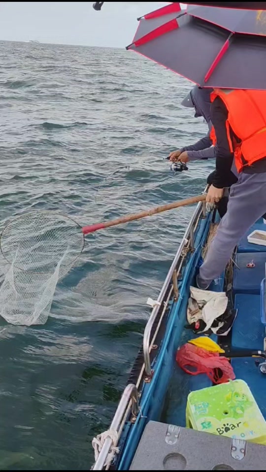 威海海钓船能出海钓鱼吗(威海海钓船能出海钓鱼吗视频)