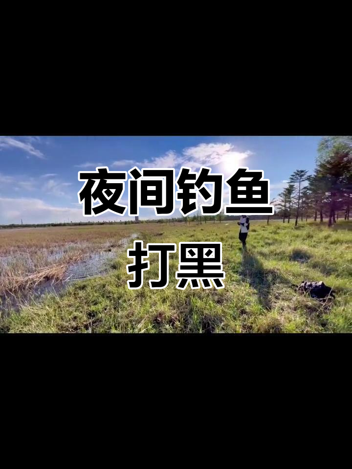 夜钓黑鱼技巧视频大全(夜钓黑鱼技巧视频大全图解)