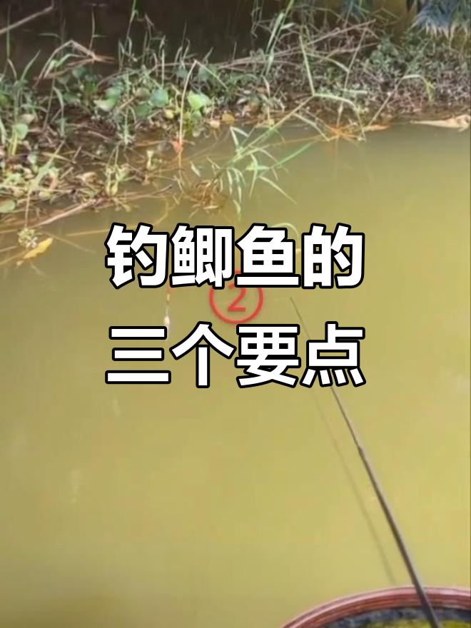 散漂野钓小鲫鱼技巧(钓鲫鱼用散炮怎样调漂)