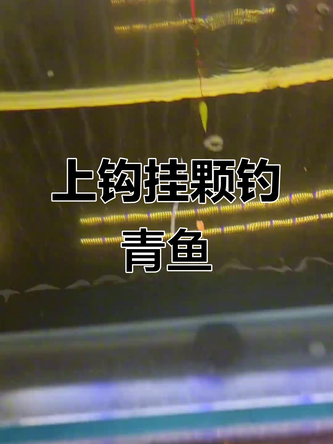 手杆钓青鱼技巧(钓青鱼用手竿好还是抛竿好)