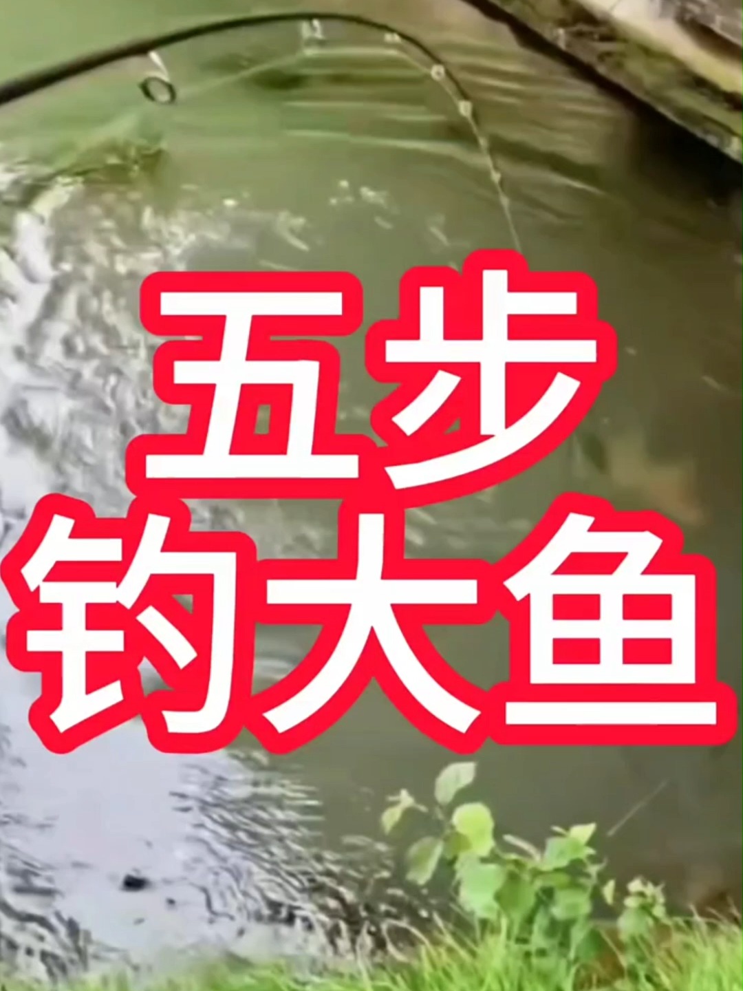 留鱼久的饵料(什么小药留鱼效果好)