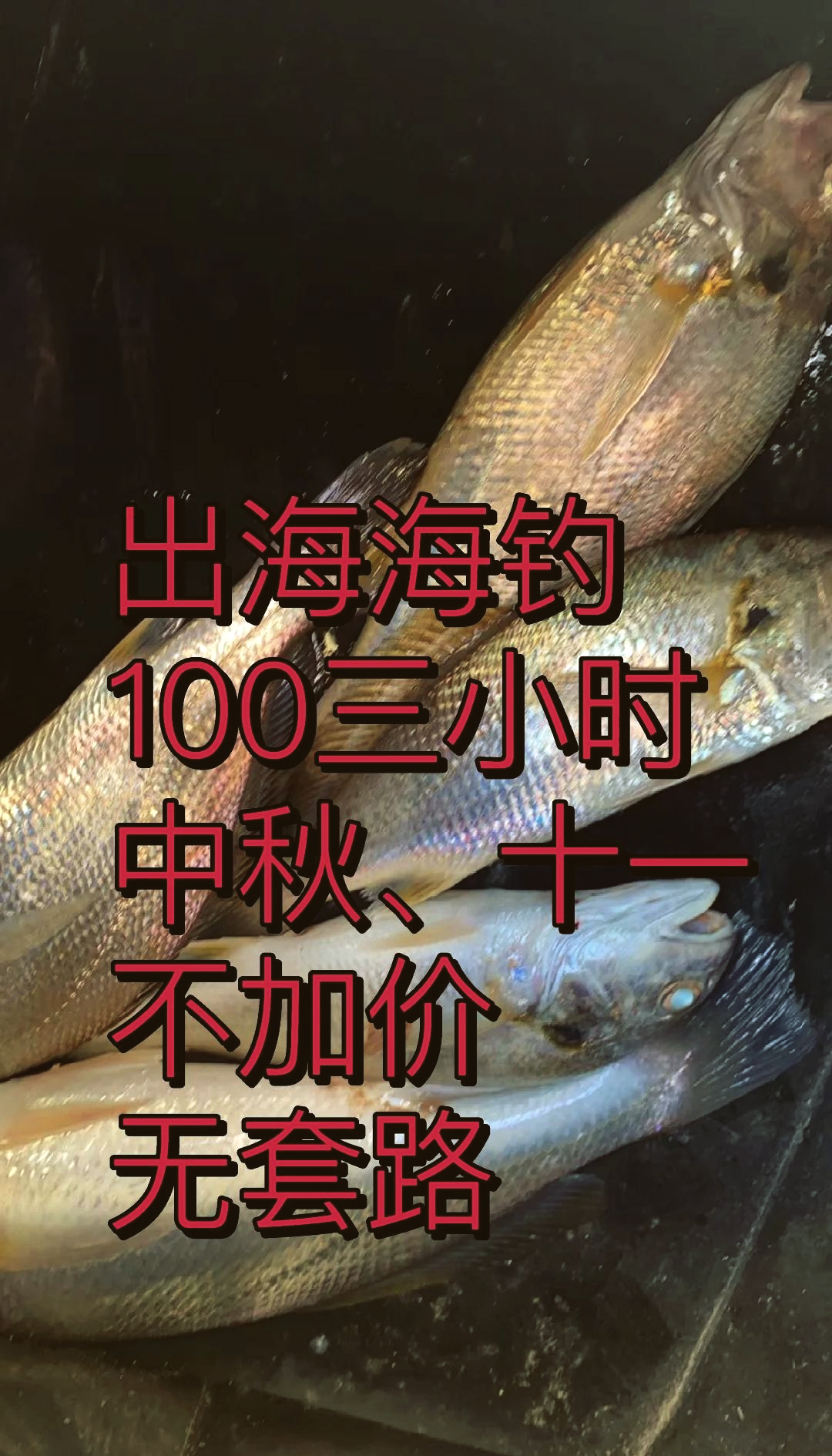 威海海钓出租(威海租船出海钓鱼 一天多钱)