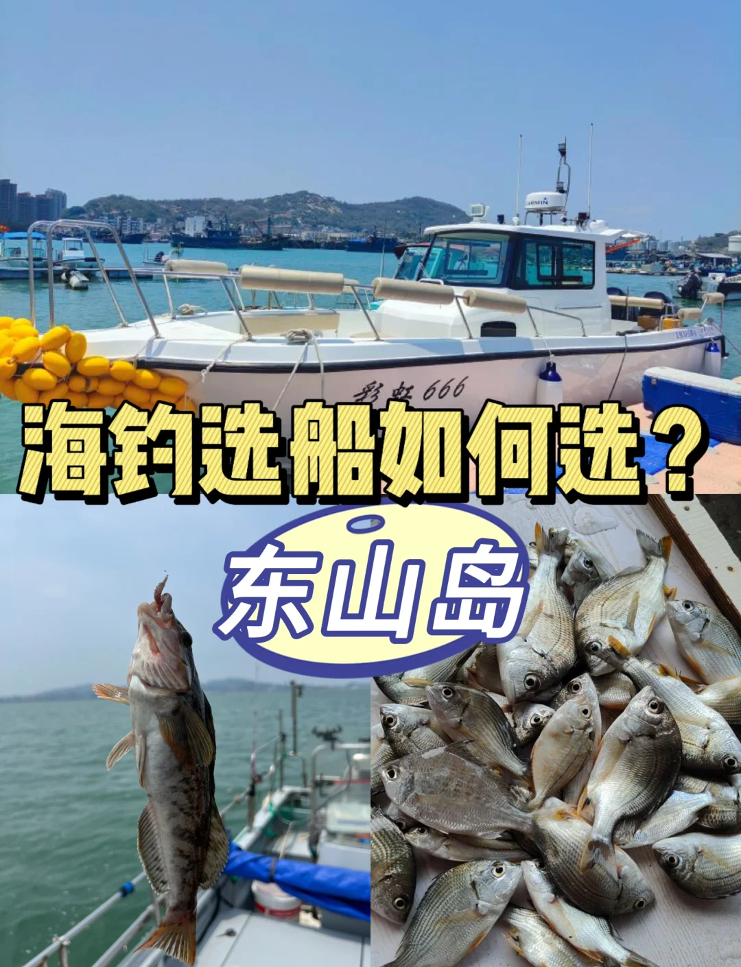舟山适合海钓的时间(舟山哪里可以海钓又能游玩的)