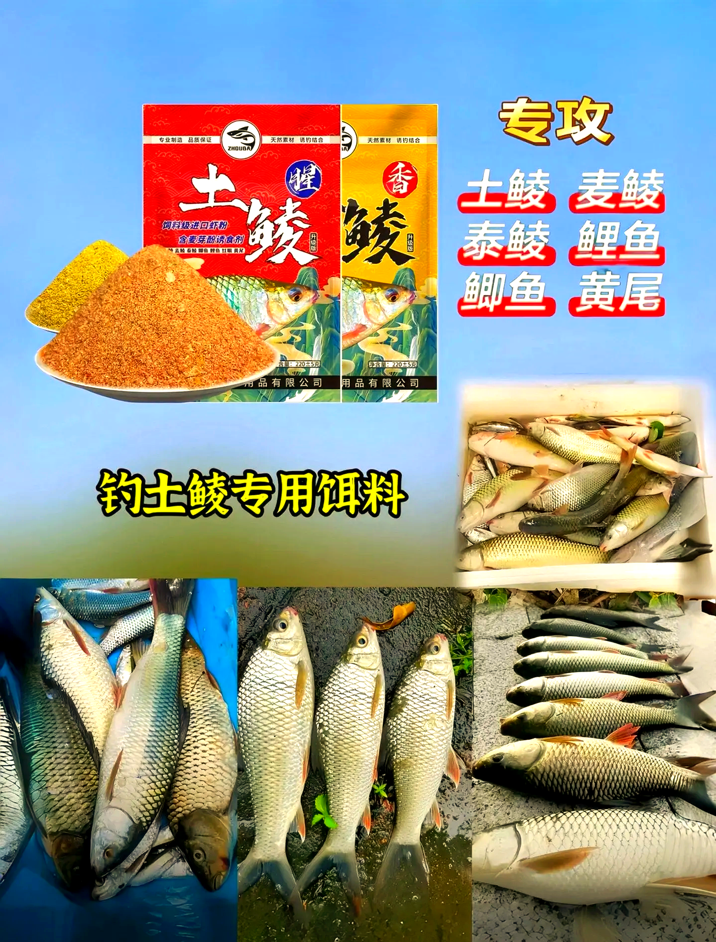 钓鱼鲮鱼饵料(钓鳊鱼饵料配方)