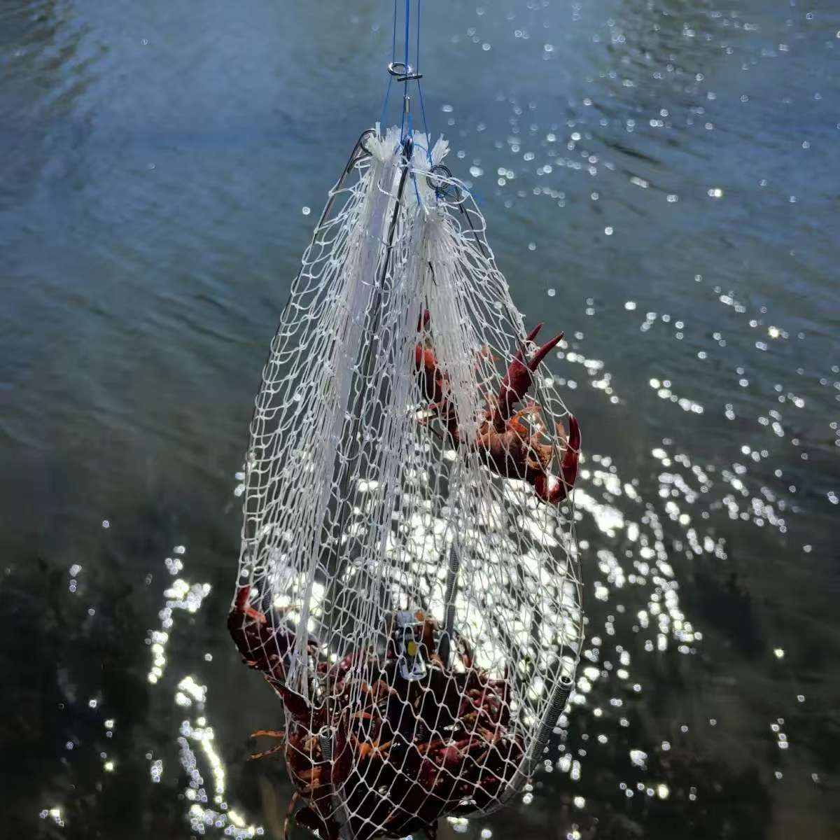 海钓螃蟹的技巧(海钓螃蟹的技巧视频)