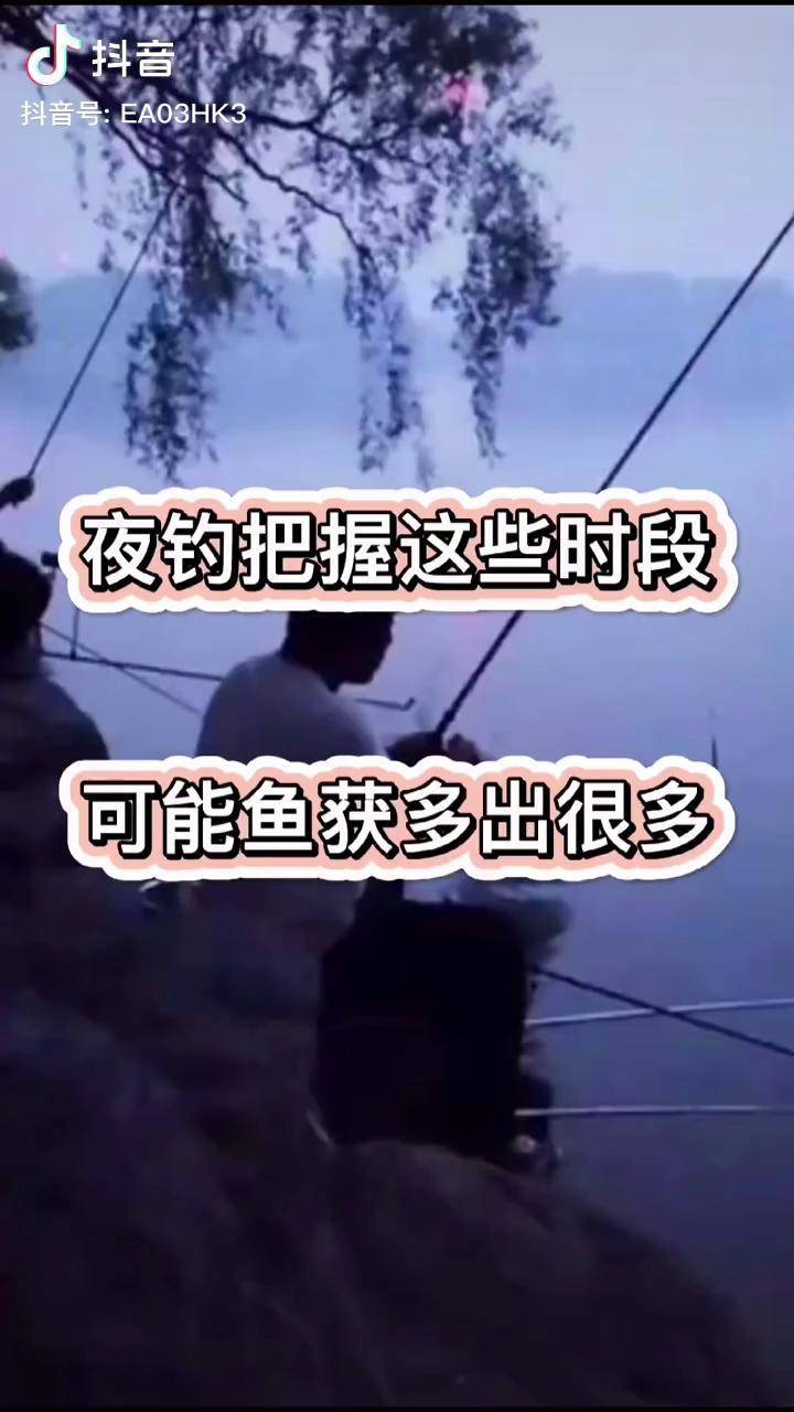 深秋夜钓黑坑技巧(秋季黑坑夜钓鲤鱼绝技)