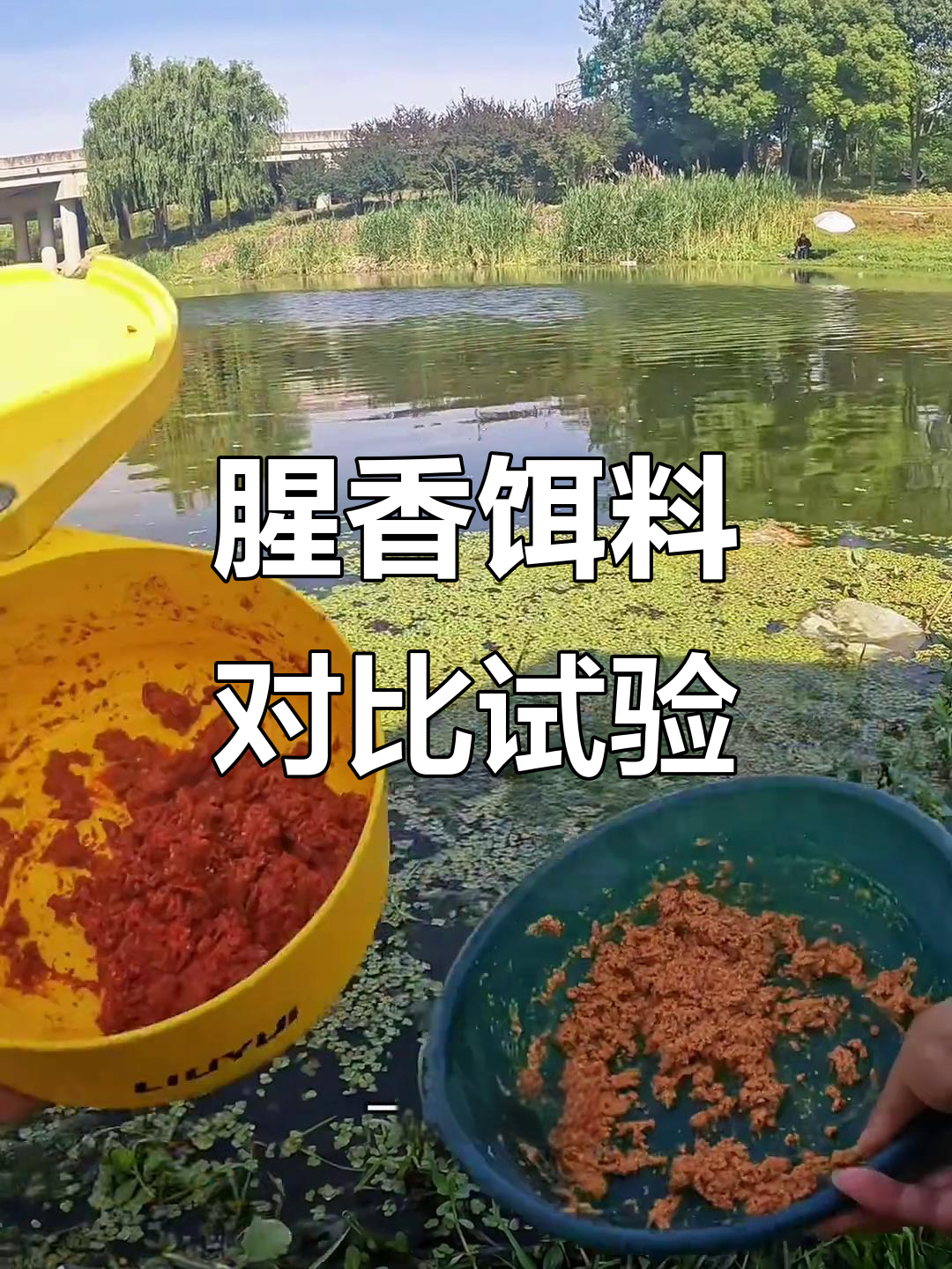 腥型和香型饵料(腥香型饵料怎么配)