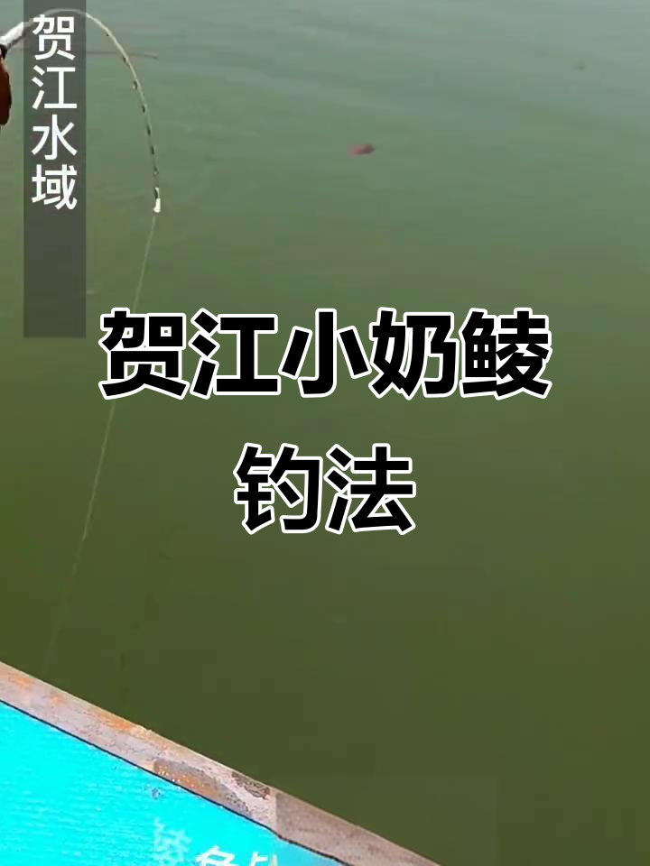釣土鯪技巧(钓土鲮技巧分享)