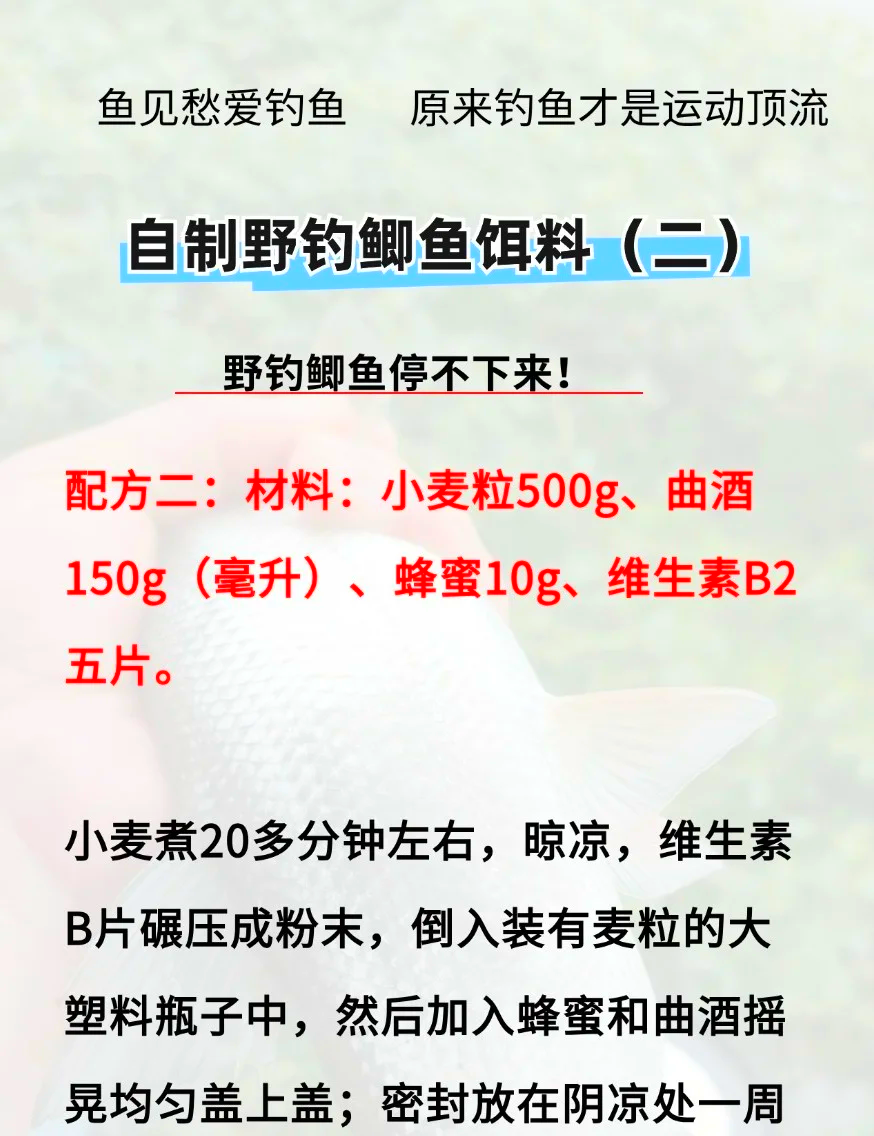 天元春季鲫鱼饵料配方(天元鲫诱在什么季节使用)
