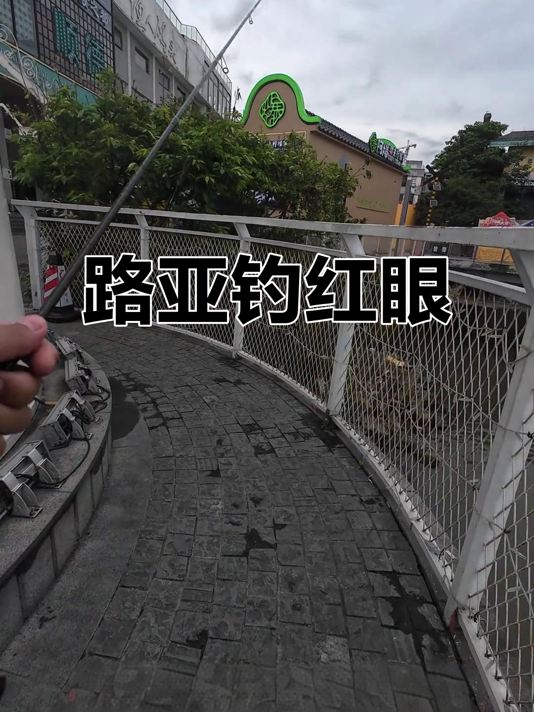 路亚红眼技术(路亚红眼用什么调)