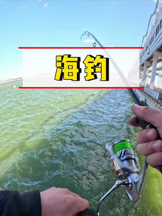 海钓路亚青岛(青岛海钓路亚用什么饵)