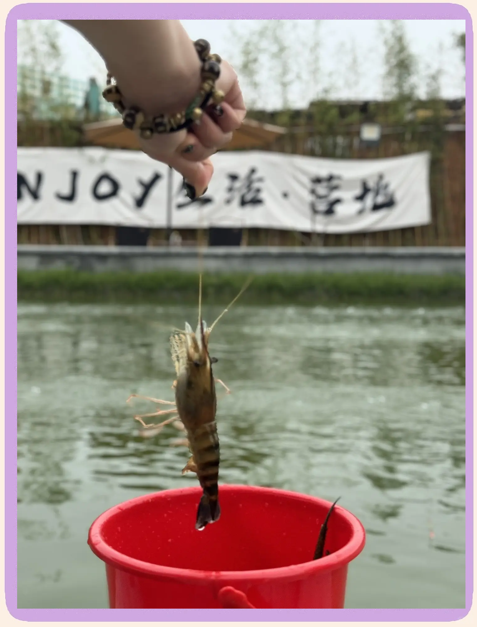 上海钓河虾的高手(上海钓河虾的高手是谁)