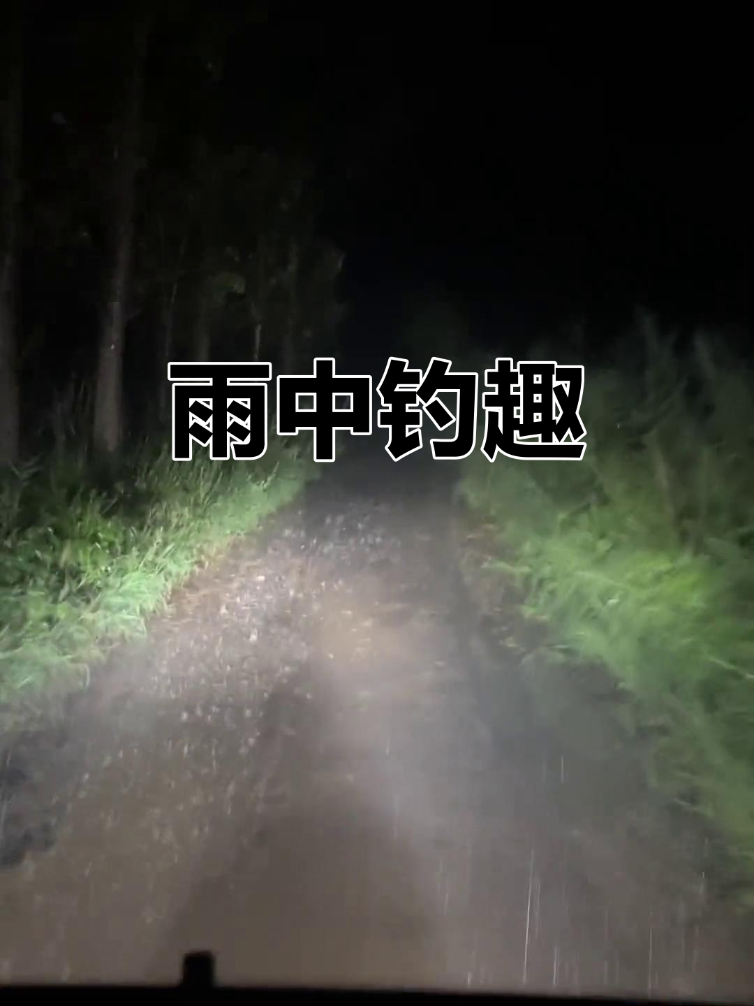 冬天南方下雨钓鱼技巧(冬天南方下雨钓鱼技巧和方法)