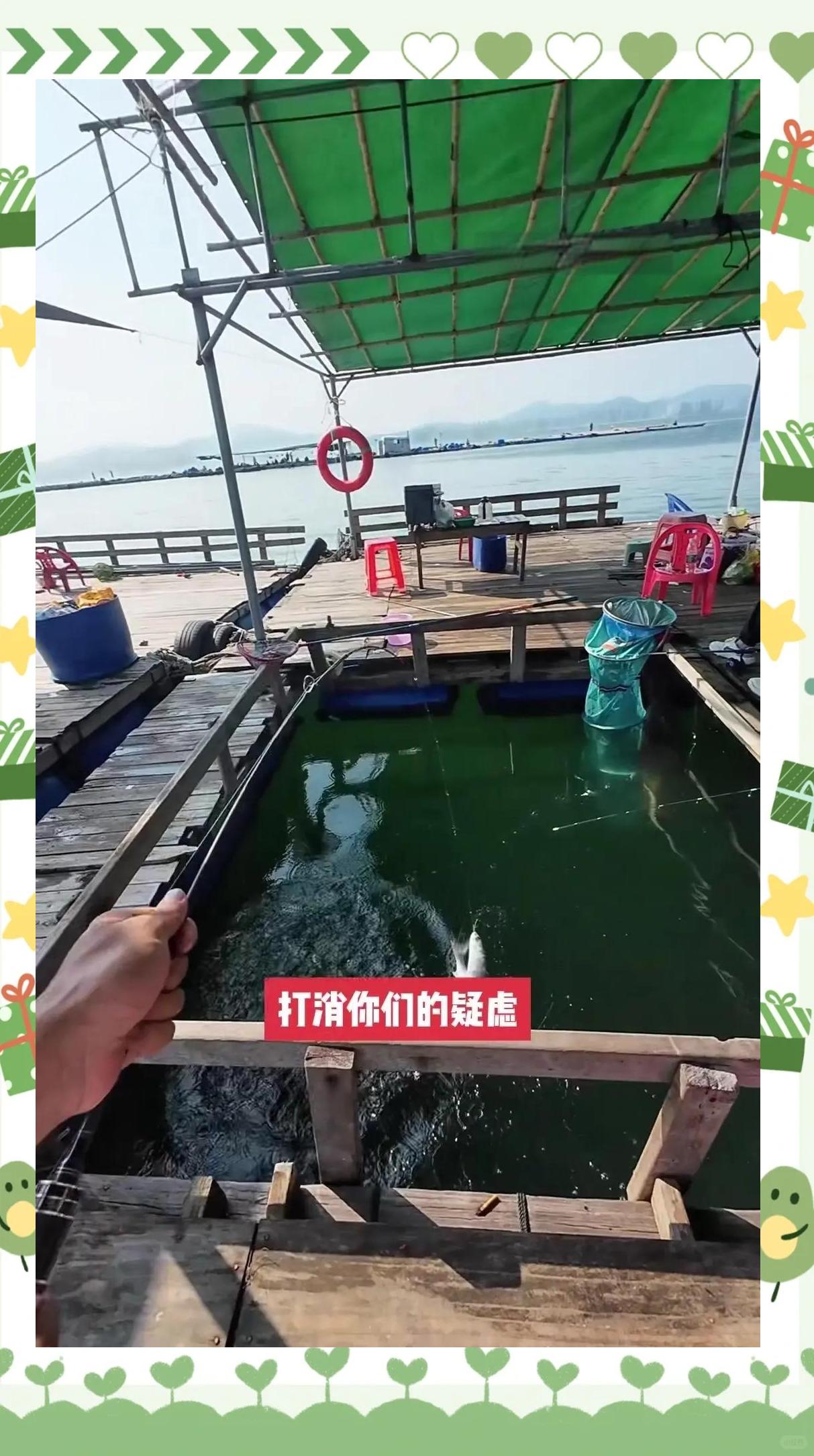 上海纪实频道海钓视频(上海纪实频道海钓视频直播)