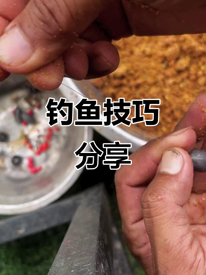 手杆钓大鱼的技巧(手杆钓大鱼的技巧视频)