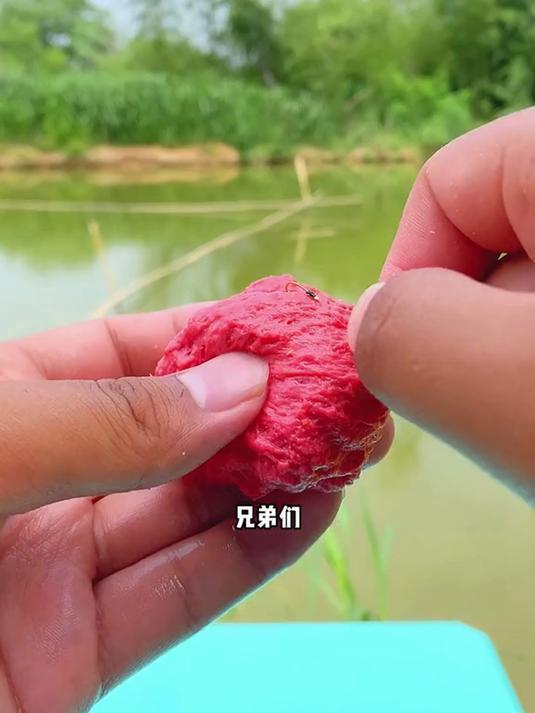 什么饵料容易洗掉(用什么饵料才能钓到鱼)