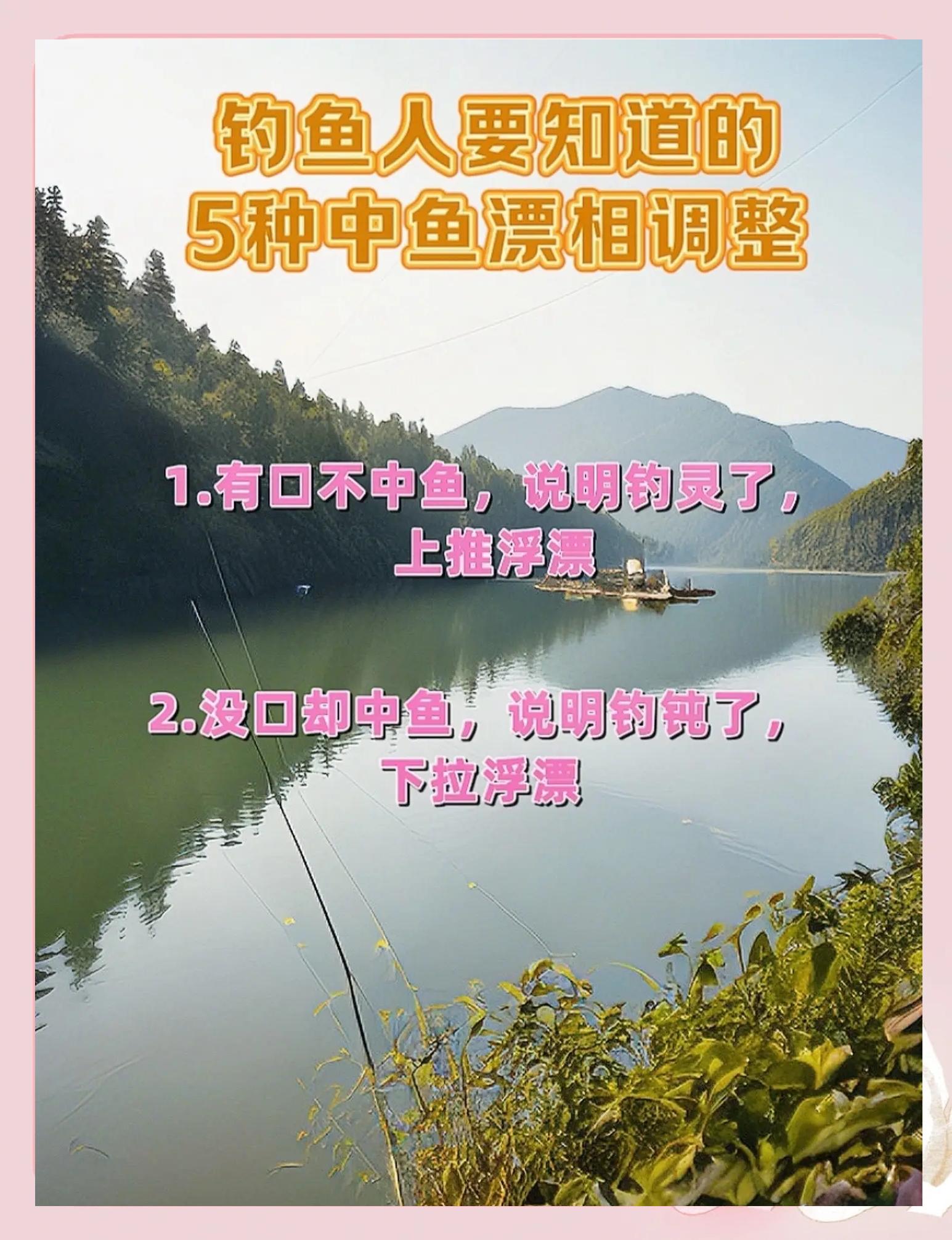 钓鱼技巧风天选位(风天钓鱼是顺风好还是逆风好)