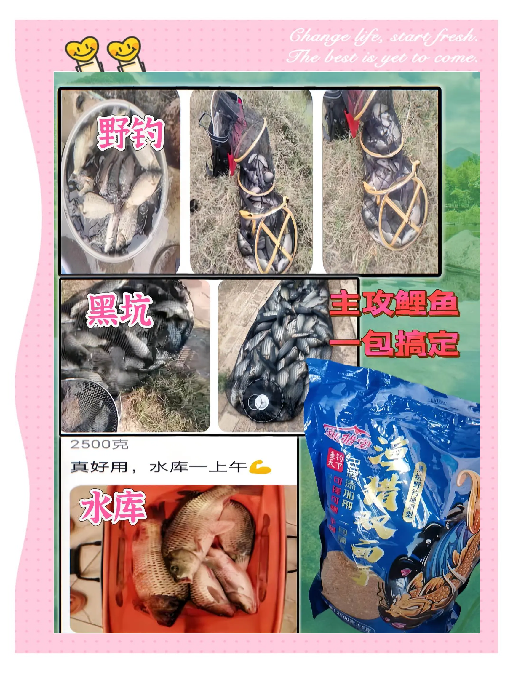 夏季水库钓鲤鱼商品饵料配方(春季水库野钓鲤鱼经典饵料配方)