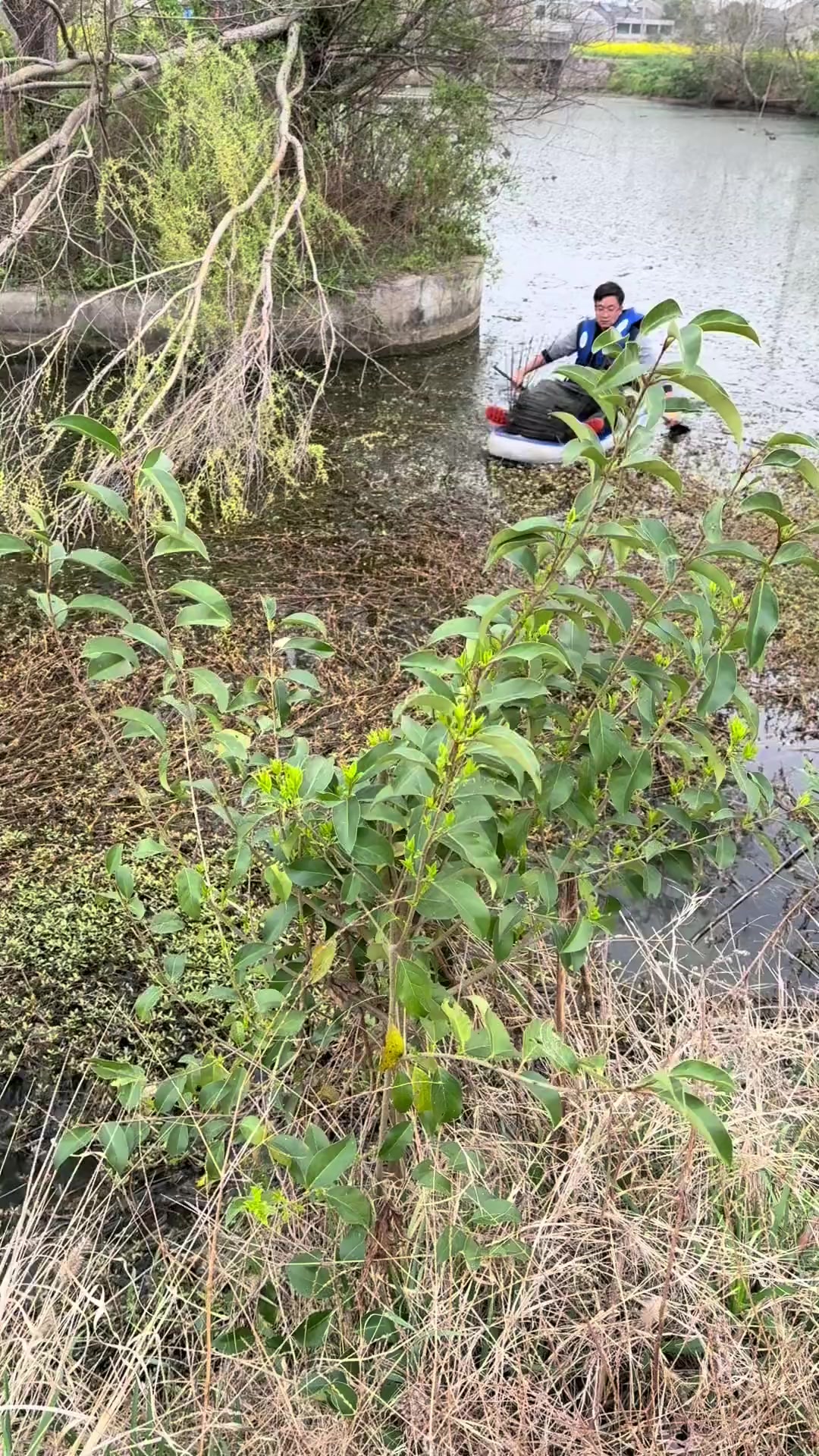 花篮下鱼技巧(花篮下鱼技巧视频)