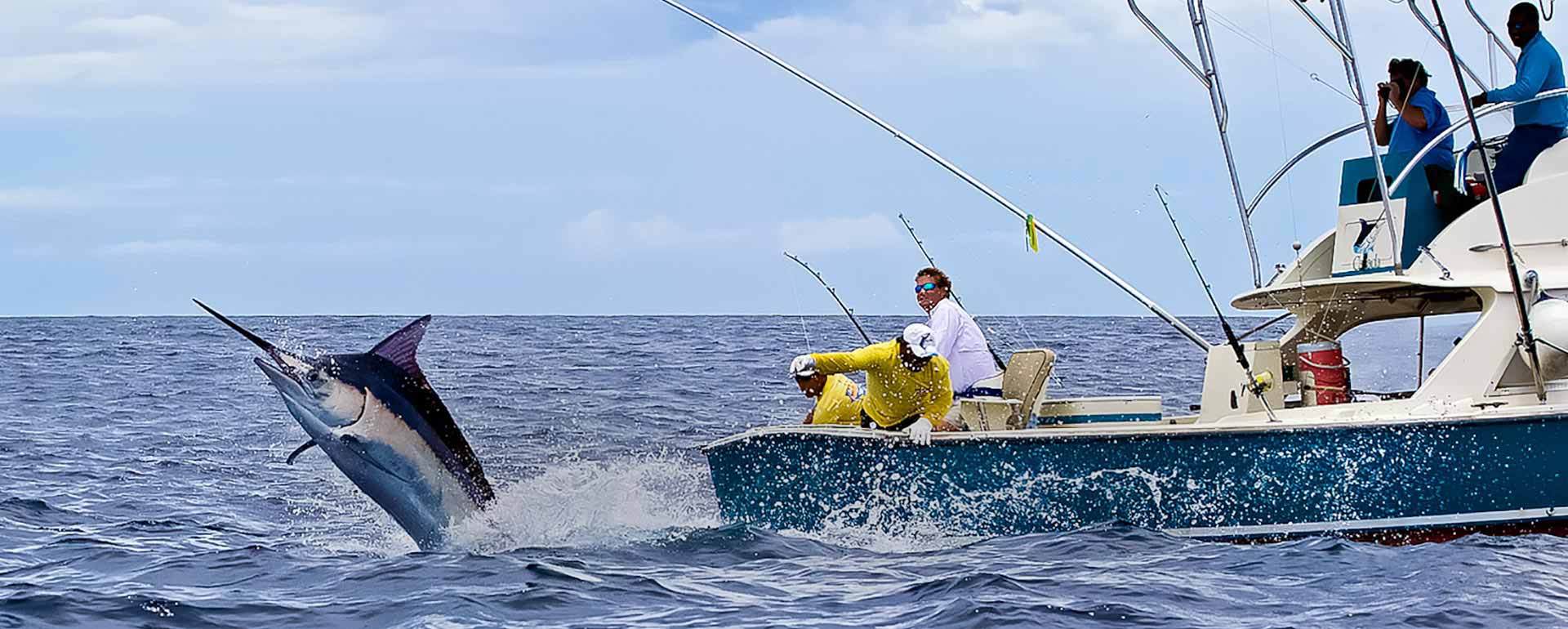 外国海钓比赛(国际海钓比赛视频)