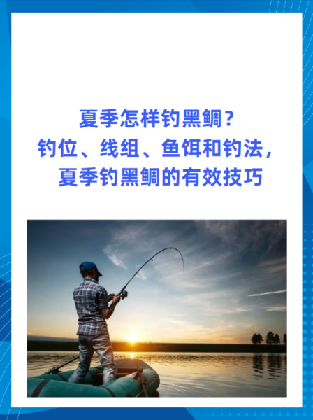 钓海富的技巧(钓海富的技巧和方法)