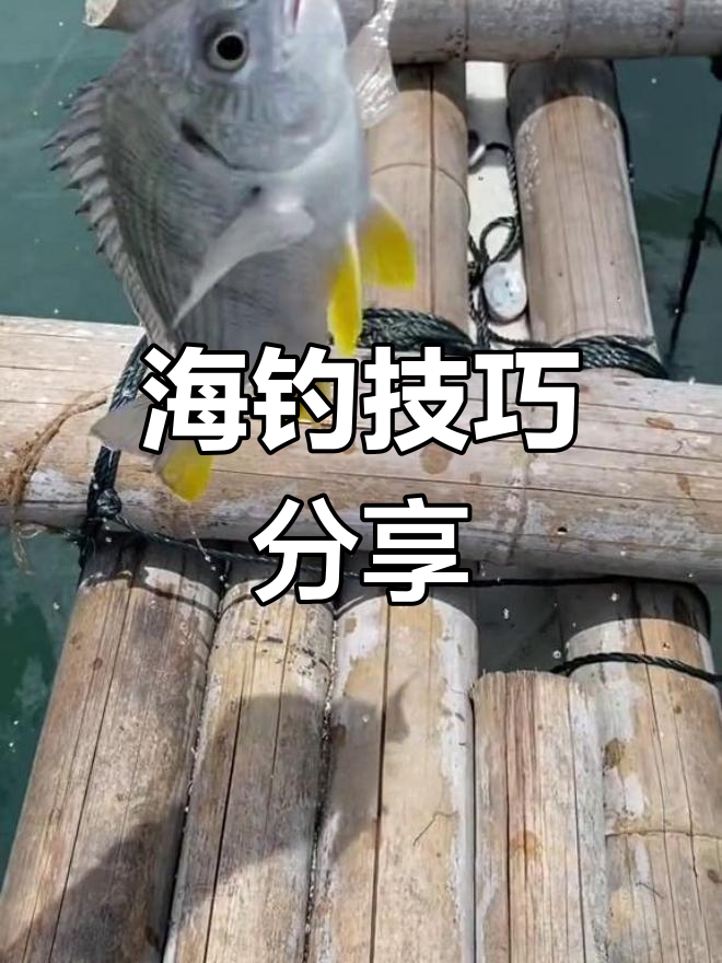 钓海富的技巧(钓海富的技巧和方法)