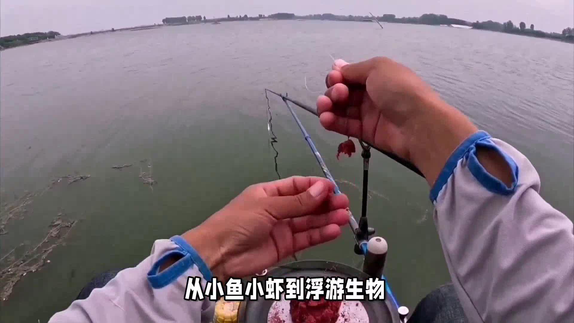 路亚钓翘嘴技巧春天(春季路亚钓翘嘴鱼的最佳水深)