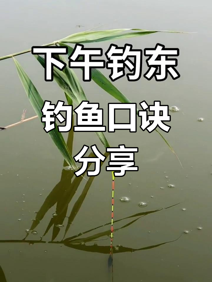 走钓技巧(走水 钓法)