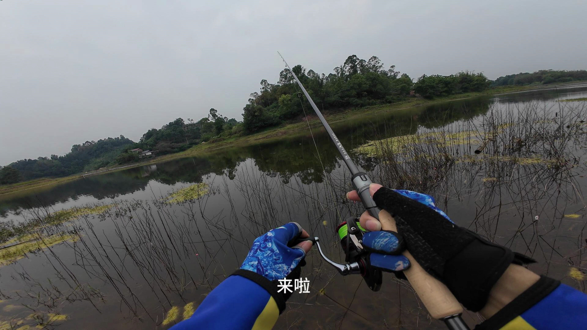 投资路亚水库(投资一个路亚基地要多少钱)