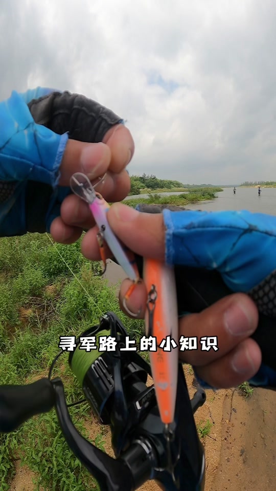 军鱼怎么路亚(军鱼用什么路亚竿)