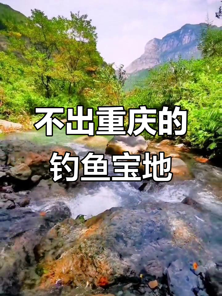 重庆人钓鱼技巧(重庆地区钓鱼用什么鱼饵)