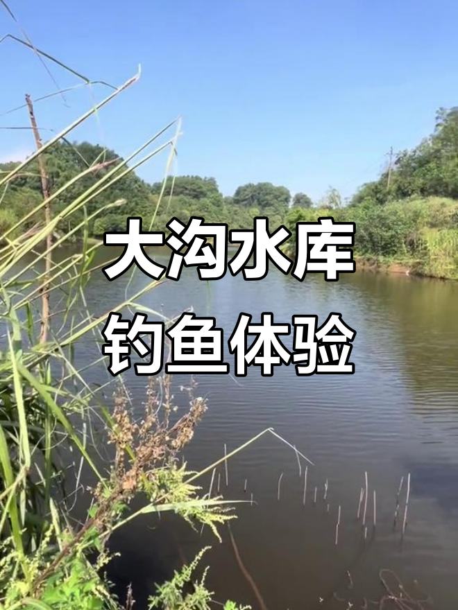 重庆人钓鱼技巧(重庆地区钓鱼用什么鱼饵)