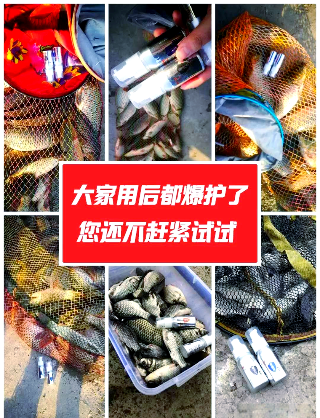 酒米打窝钓鲤鱼技巧(酒米打窝钓引诱哪些鱼 视频)