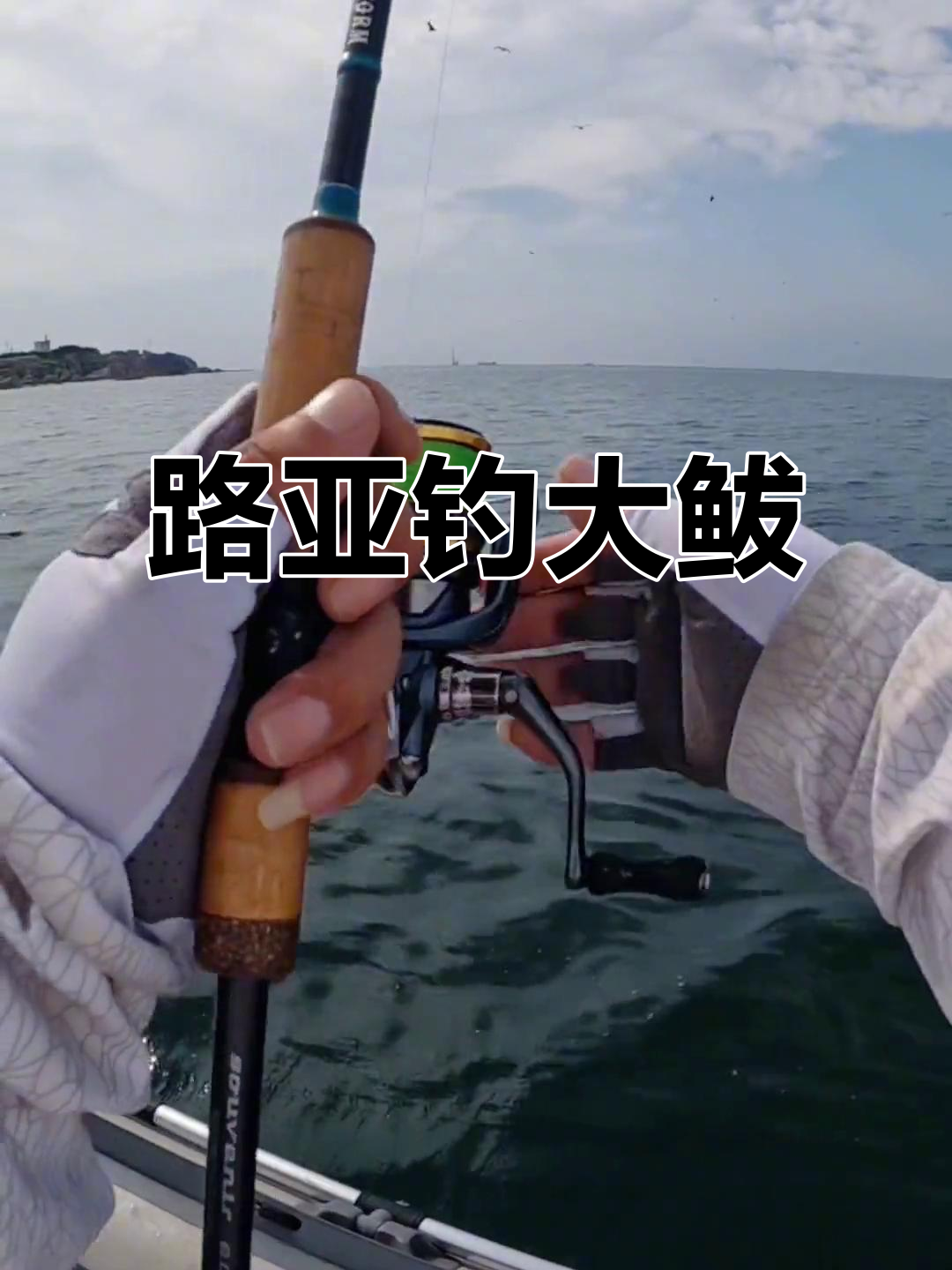路亚鲅鱼线组(路亚鲅鱼用几号线比较好)