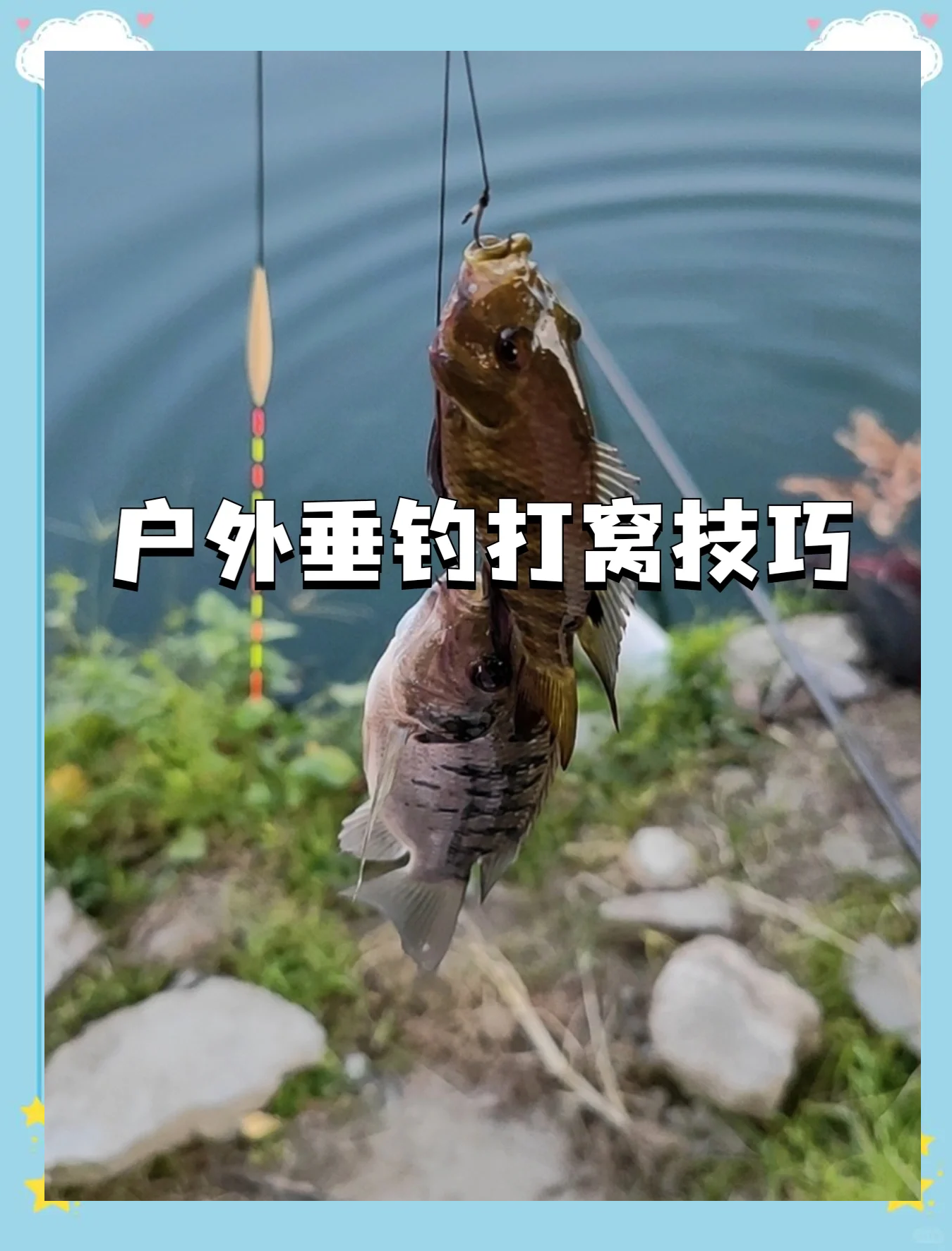 酒糟打窝钓鱼技巧(酒糟打窝钓鱼效果好吗)