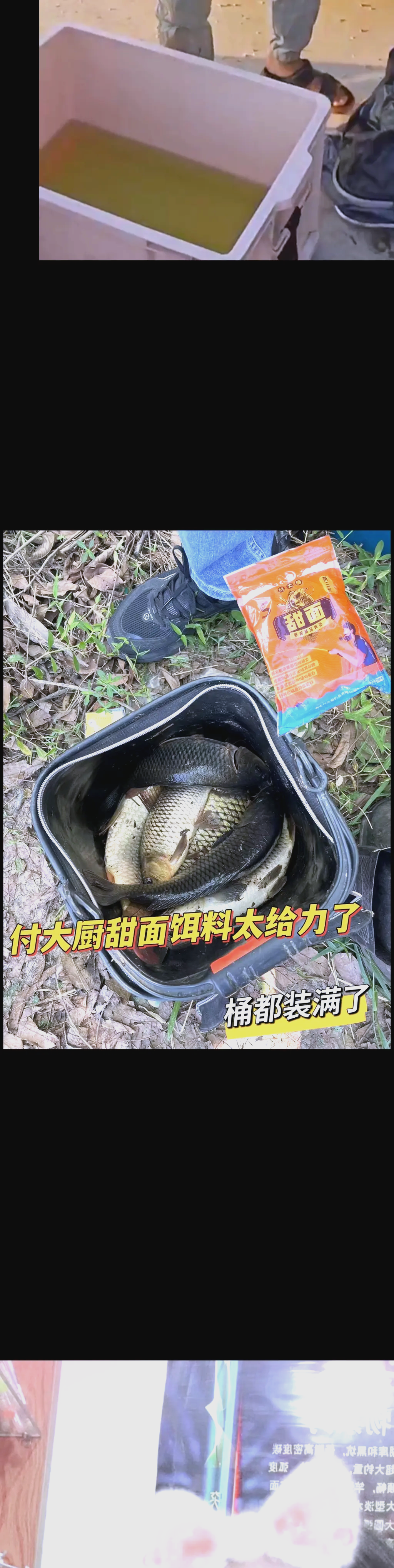秋季钓黑坑鲤鱼饵料配方(秋季钓黑坑鲤鱼用什么饵料最好)
