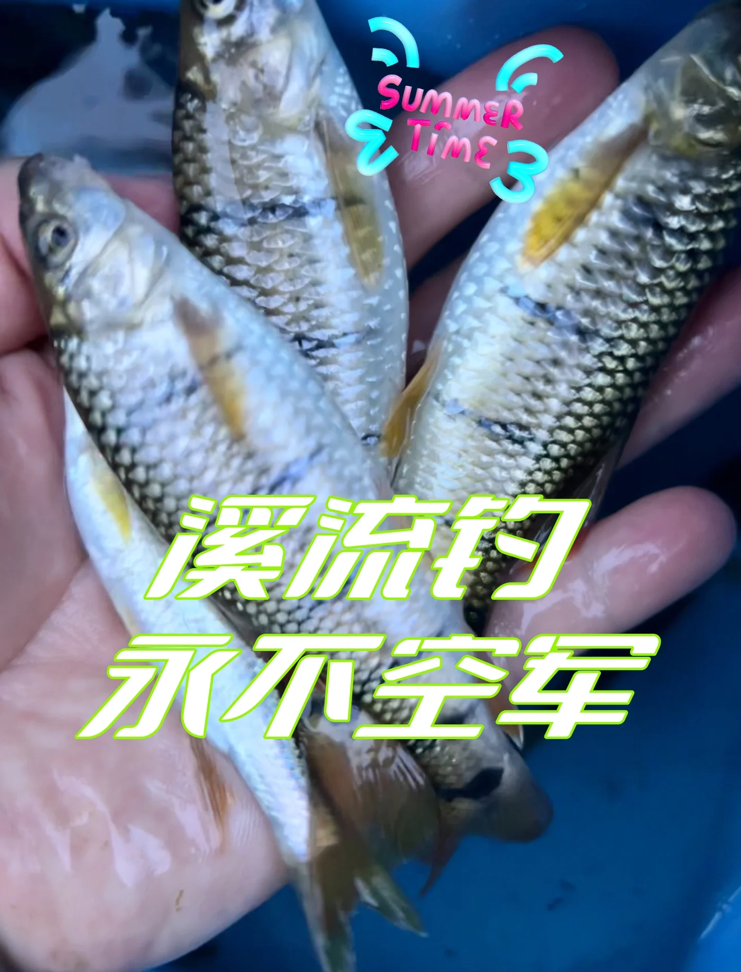 溪石斑如何路亚(溪流石斑可以路亚吗)