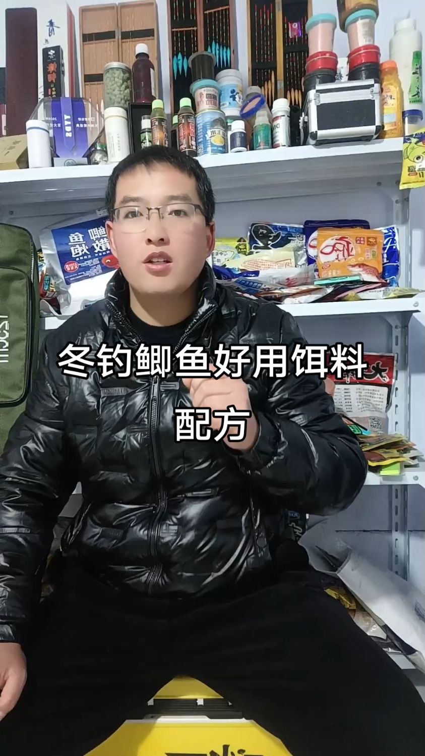 冬鲫饵料(冬季鲫鱼饵料搭配)