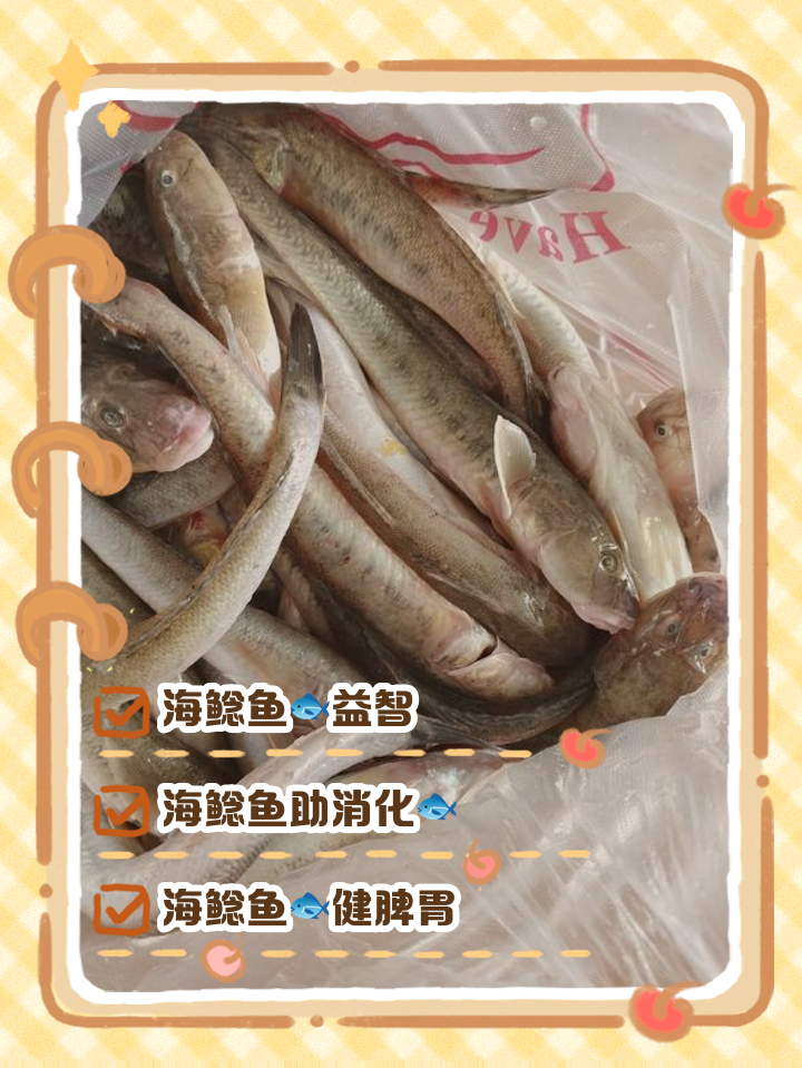 营口海钓海鲶鱼视频(营口海鲶鱼多少钱一斤)