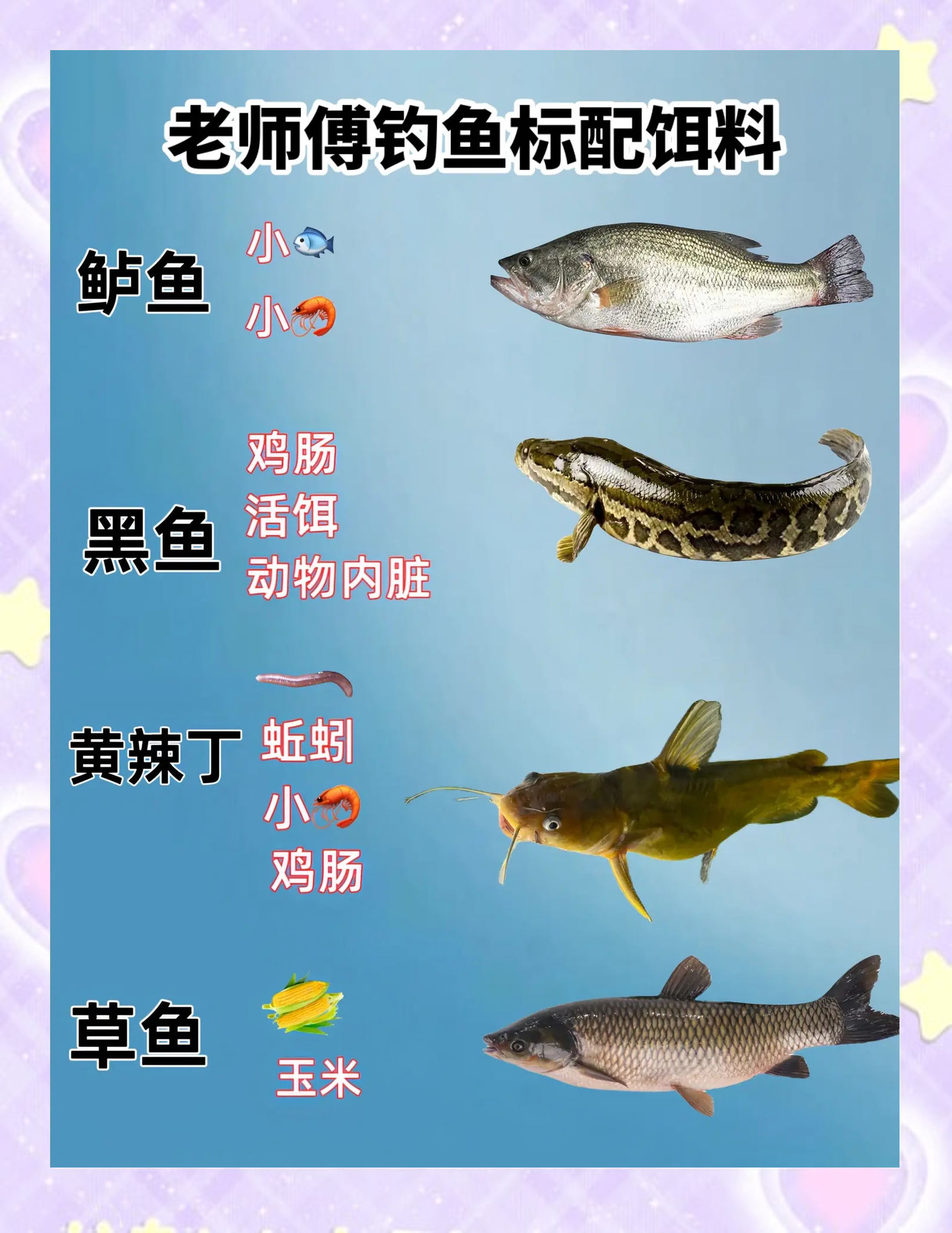 秋季用什么味型饵料钓鲤鱼(秋天钓鲤鱼用什么味道的饵料)