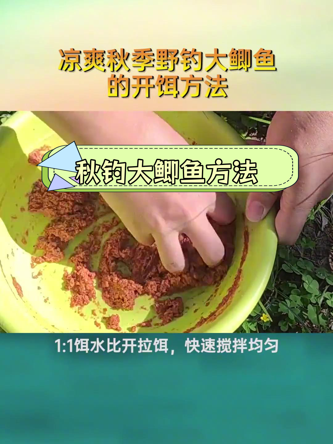 饵料腥香搭配(腥香饵料加什么味型的小药)