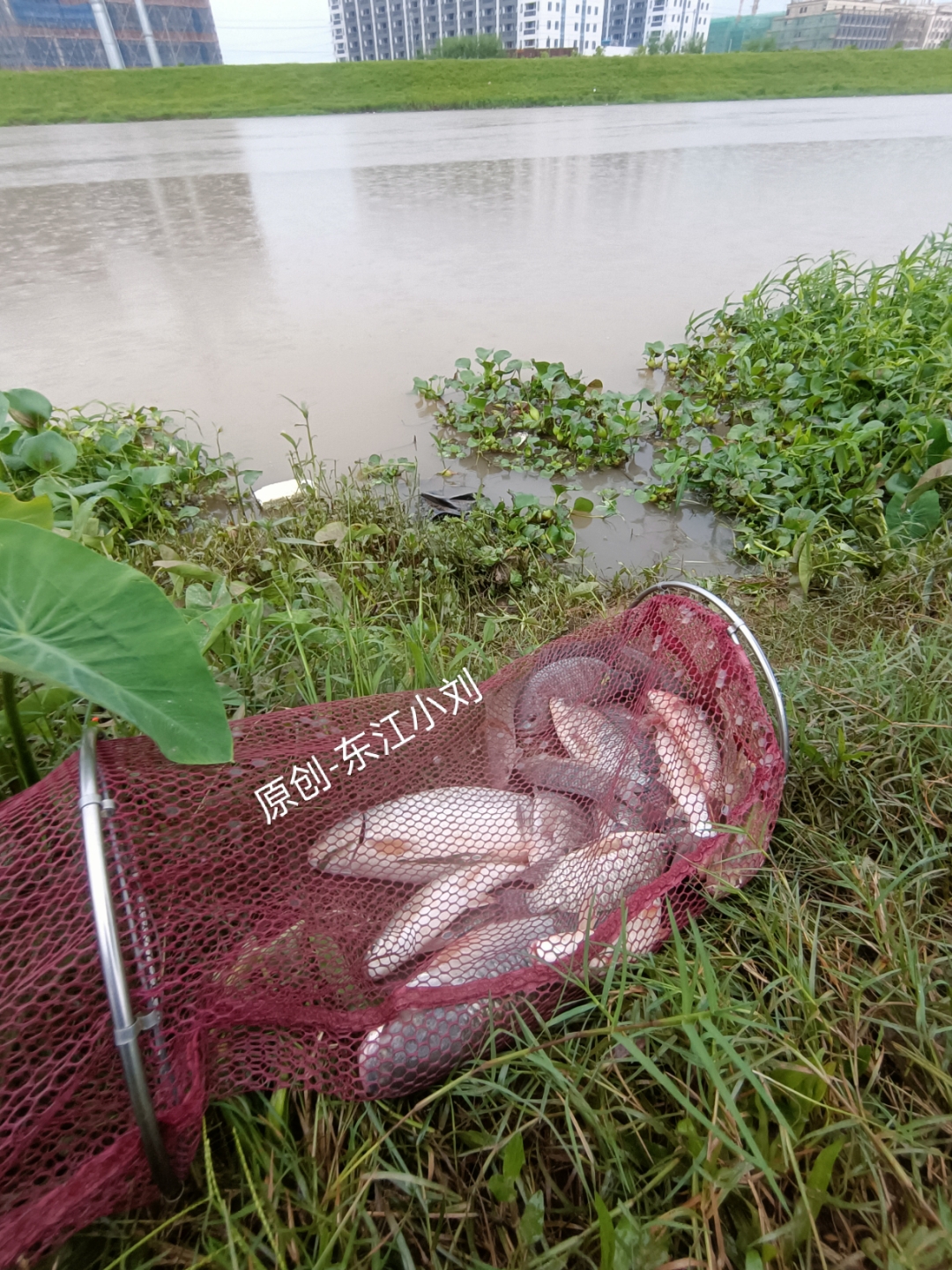 秋季下雨水库钓鱼技巧(秋季下雨水库钓鱼技巧视频)