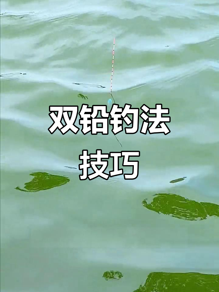 黑坑双铅钓鱼技巧(黑坑双铅钓鱼技巧图解)