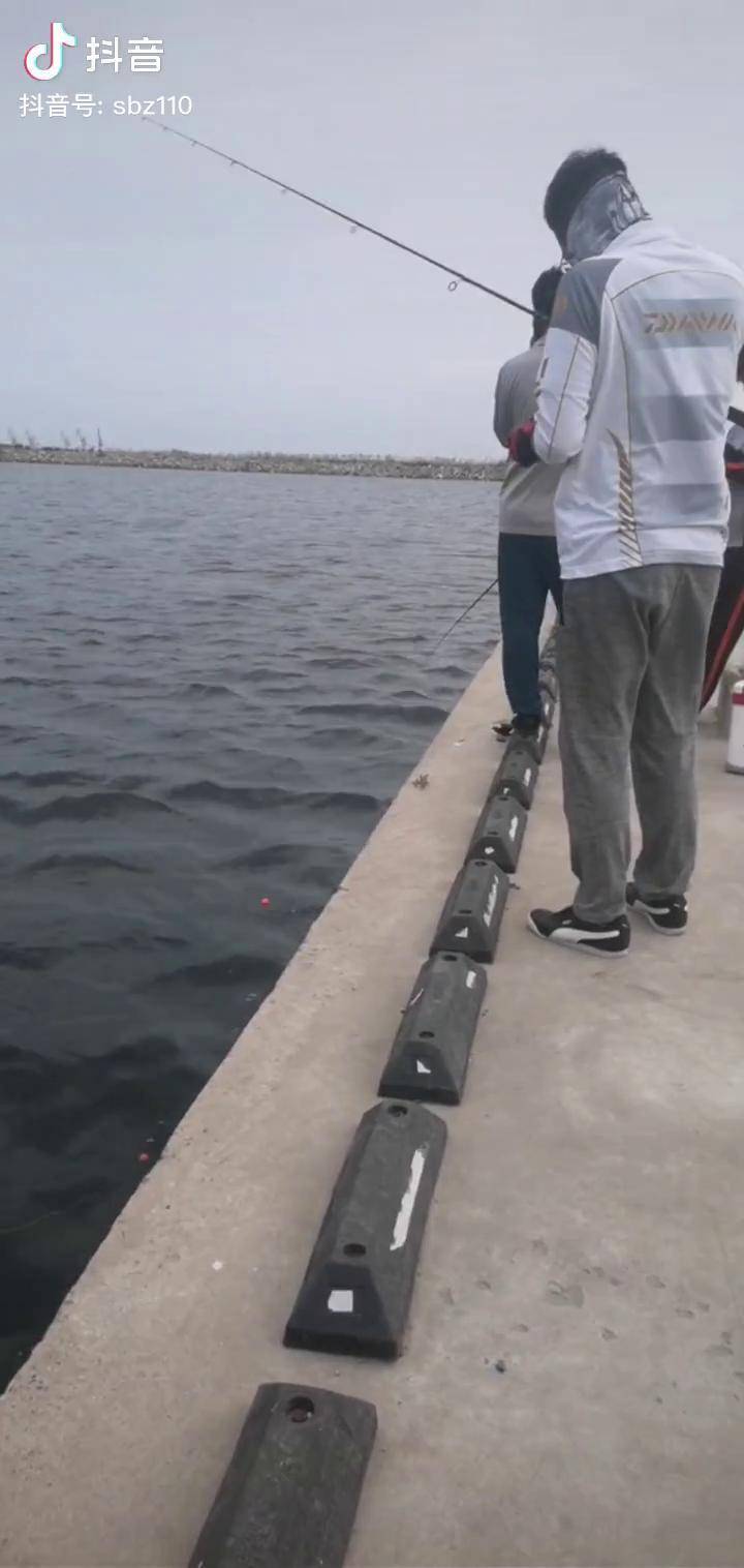 海钓曹妃甸吧(曹妃甸海钓鱼种)