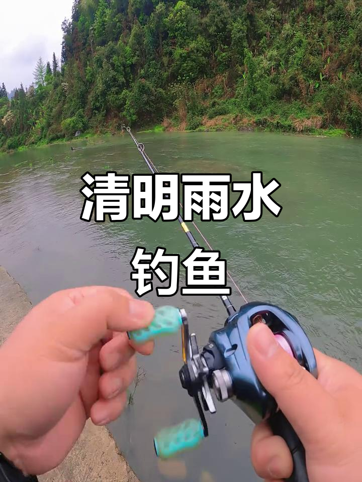 清明河边钓鱼的技巧(清明钓鱼后面一句是什么)