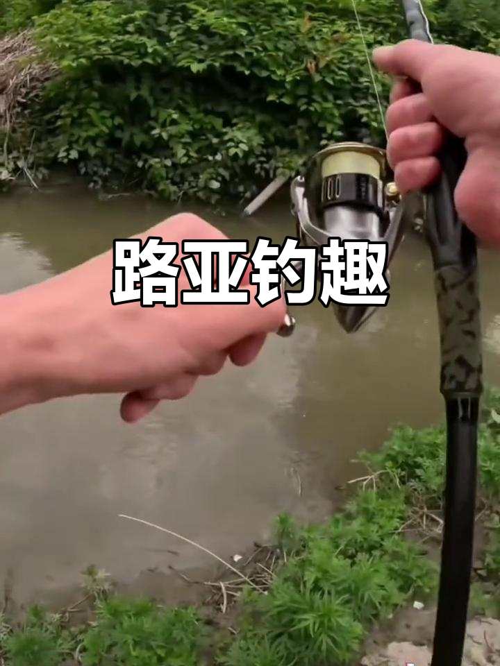 兴隆路亚(长沙兴隆路亚)